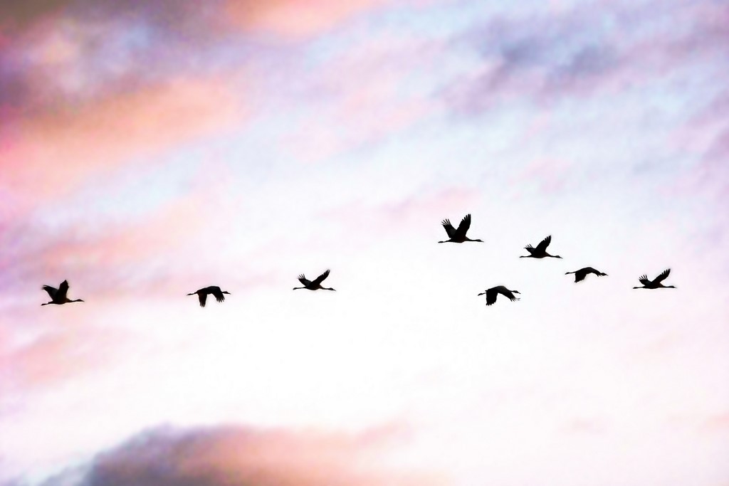 Sophrologie et sevrage tabagique : une méthode douce et efficace